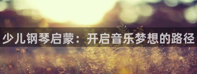 中国鸿运是什么平台