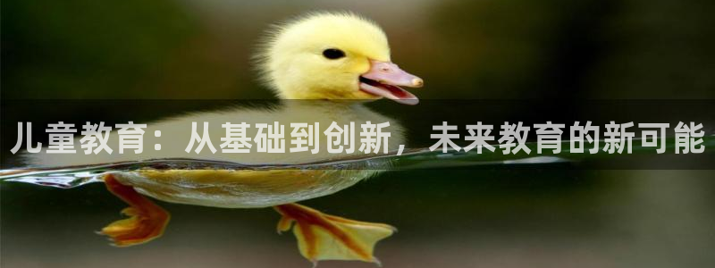 鸿运合拍是什么平台