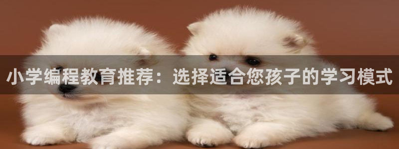 鸿运平台进入登录界面