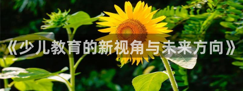 鸿运平台代理代