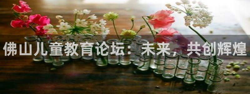鸿运彩票平台怎样