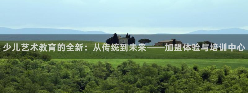 鸿运服务平台是什么平台