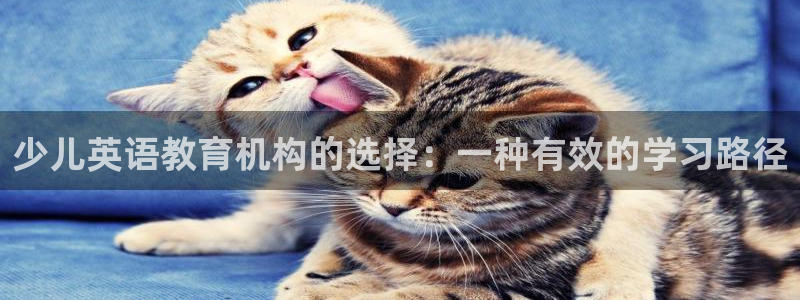 鸿运最新平台是什么