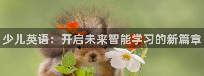 琥珀鸿运是什么平台