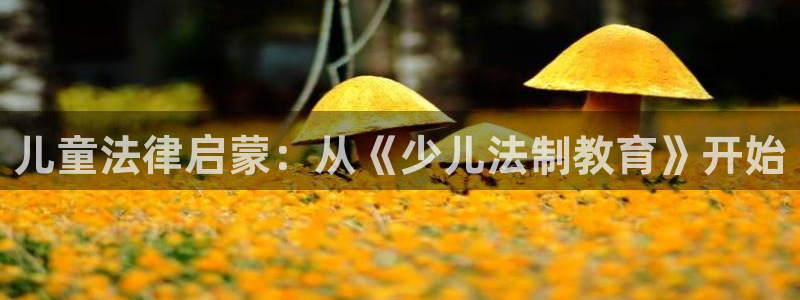 鸿运工厂直播平台