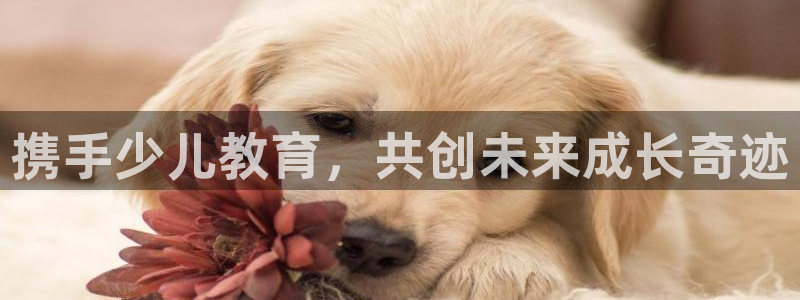 鸿运满堂团购平台