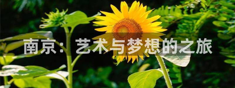 鸿运通借款平台