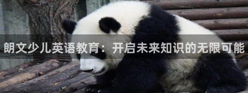 鸿运汽车团购平台