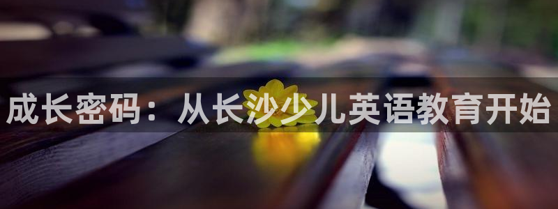 鸿运国际网址平台