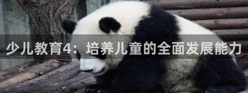 鸿运卡盟平台登录