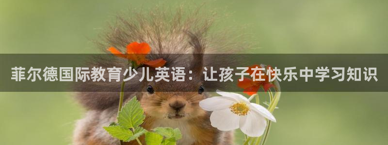 鸿运来投资平台