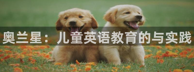 琥珀鸿运平台登录页面