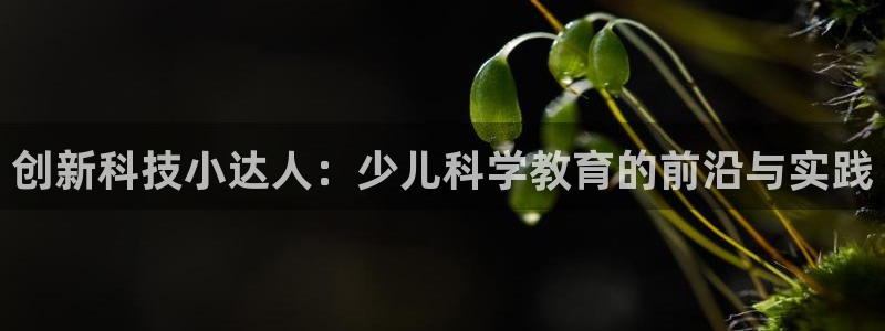 鸿运寄卖回收平台