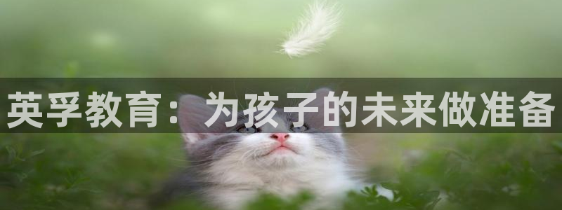 鸿运国际平台平台介绍