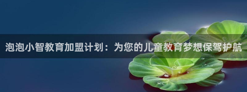 鸿运平台靠谱吗