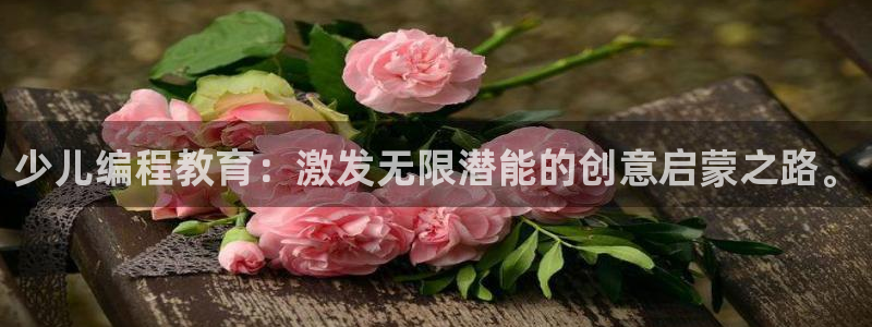 鸿运最新平台是什么