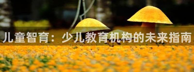 鸿运网彩票平台