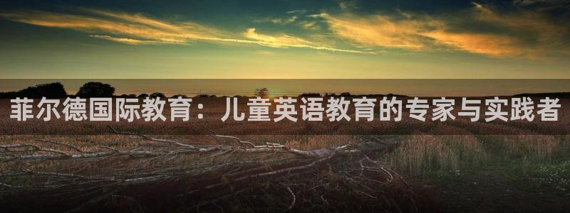 鸿运网是什么平台