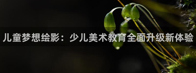 新鸿运股票平台