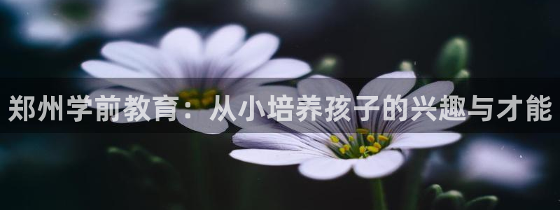 鸿运通平台可靠吗