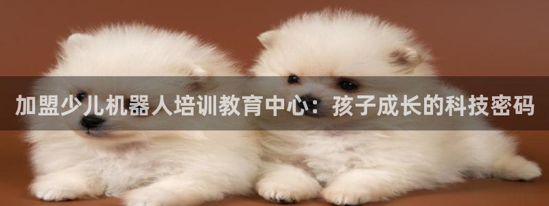 琥珀鸿运平台怎样赚钱的