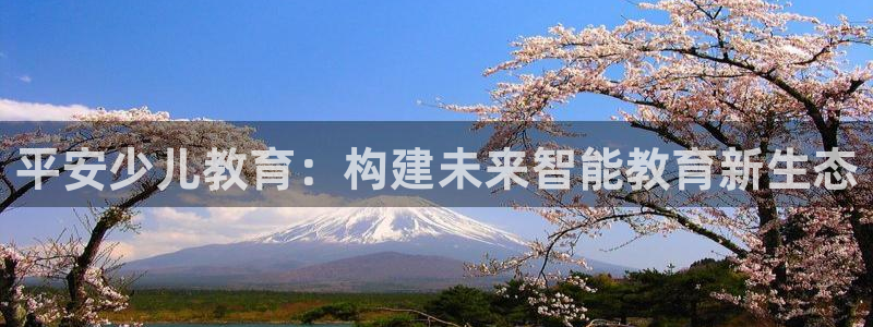 鸿运服务平台官网