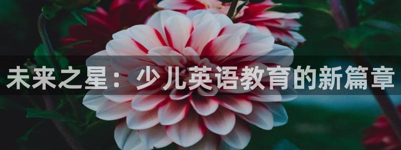 鸿运仓储直播平台