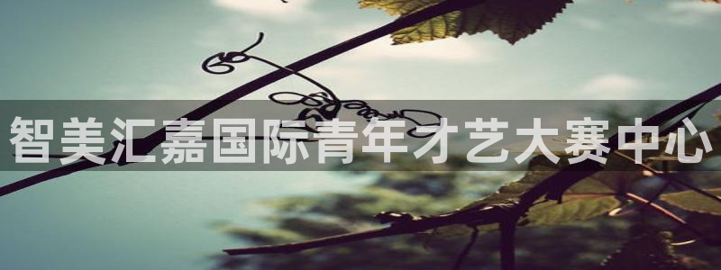 鸿运国际是什么游戏平台