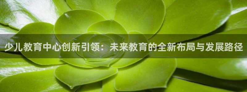 国际鸿运手机版平台