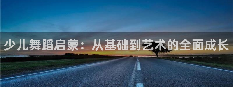 鸿运公司滴滴平台