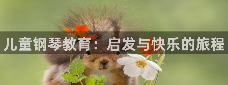 鸿运平台被骗事件