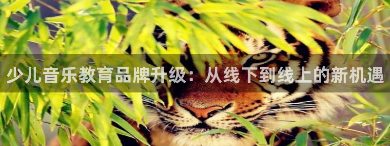 鸿运做单平台