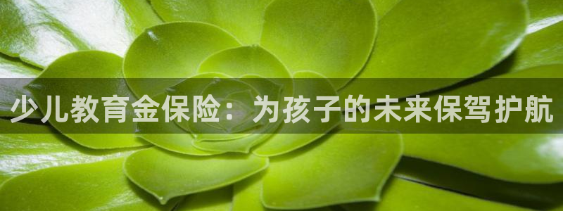 鸿运串串团购平台